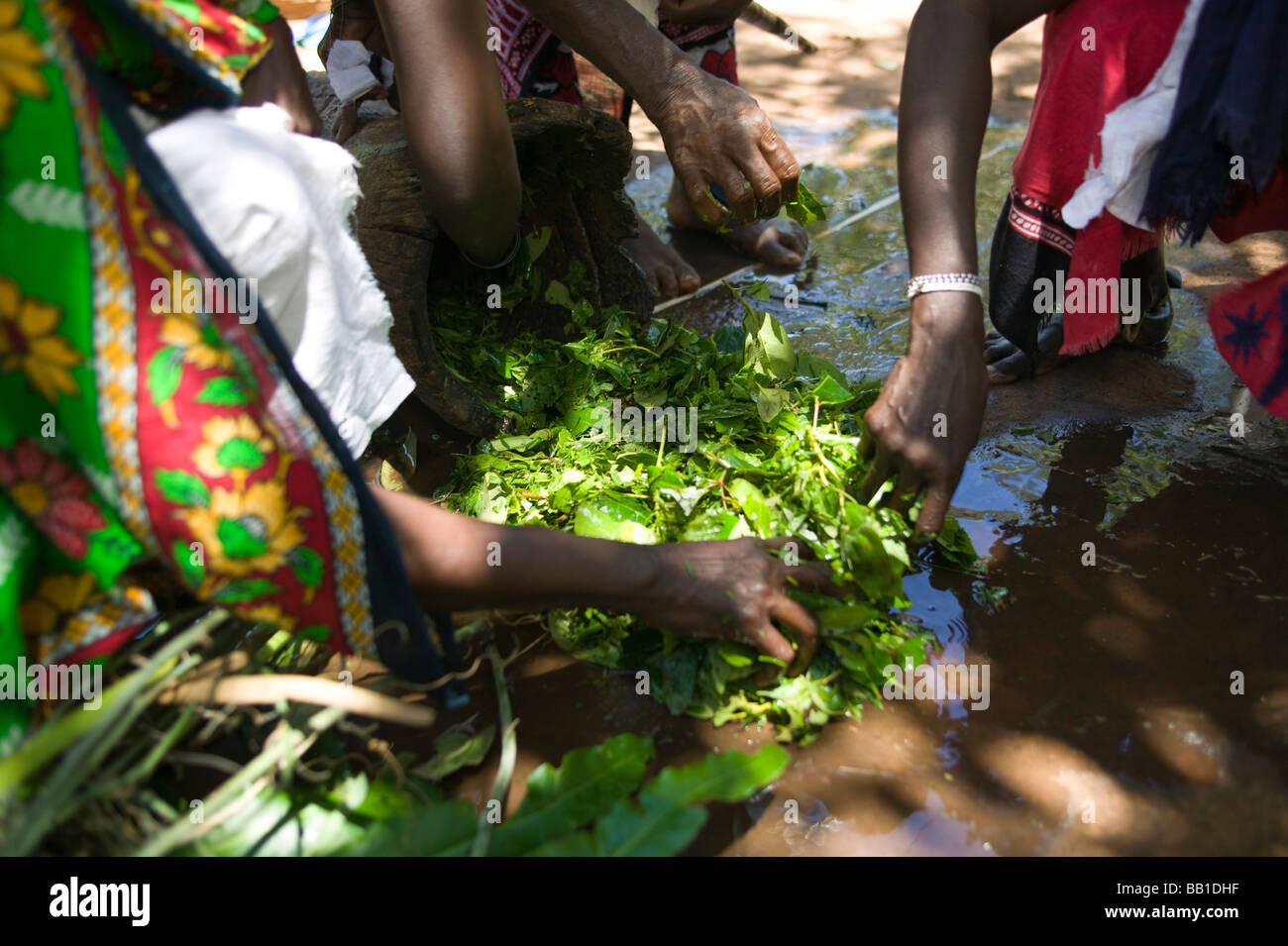 Witch doctors preparing herbs for rain ceremony, Takaungu, Kenya. Stock Photo