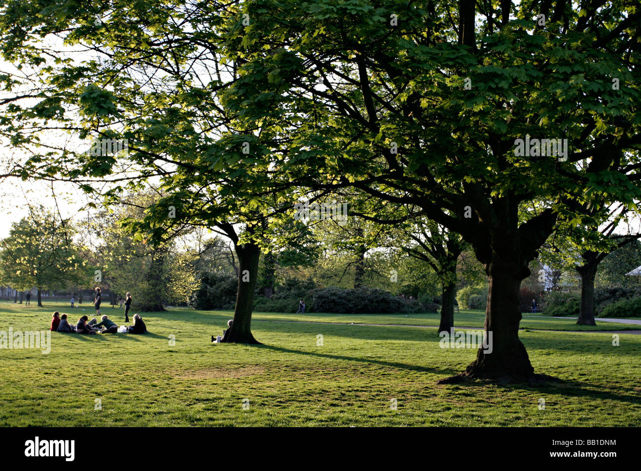 Picnic in hyde park london hi-res stock photography and images - Alamy