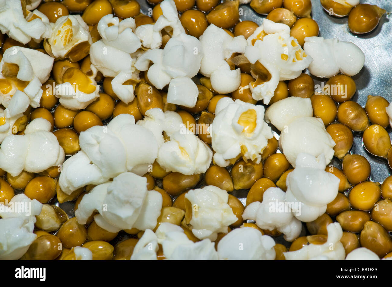 popcorn pop corn homemade make making oil pan plopp mais maize hot oil oiled popped food traditional snack cook cooking fat fatt Stock Photo