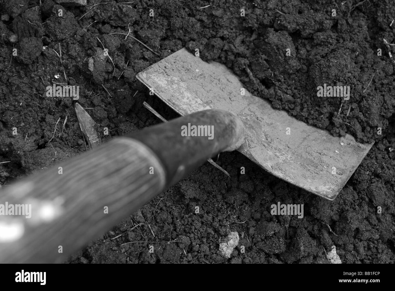 Spade digging soil Stock Photo Alamy