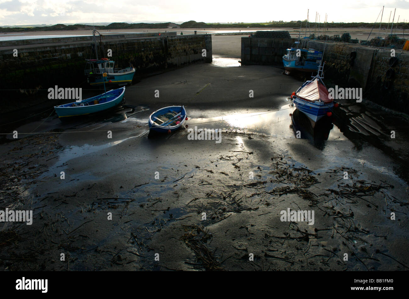 Boats in Beadnell Harbour, Northumberland Stock Photo