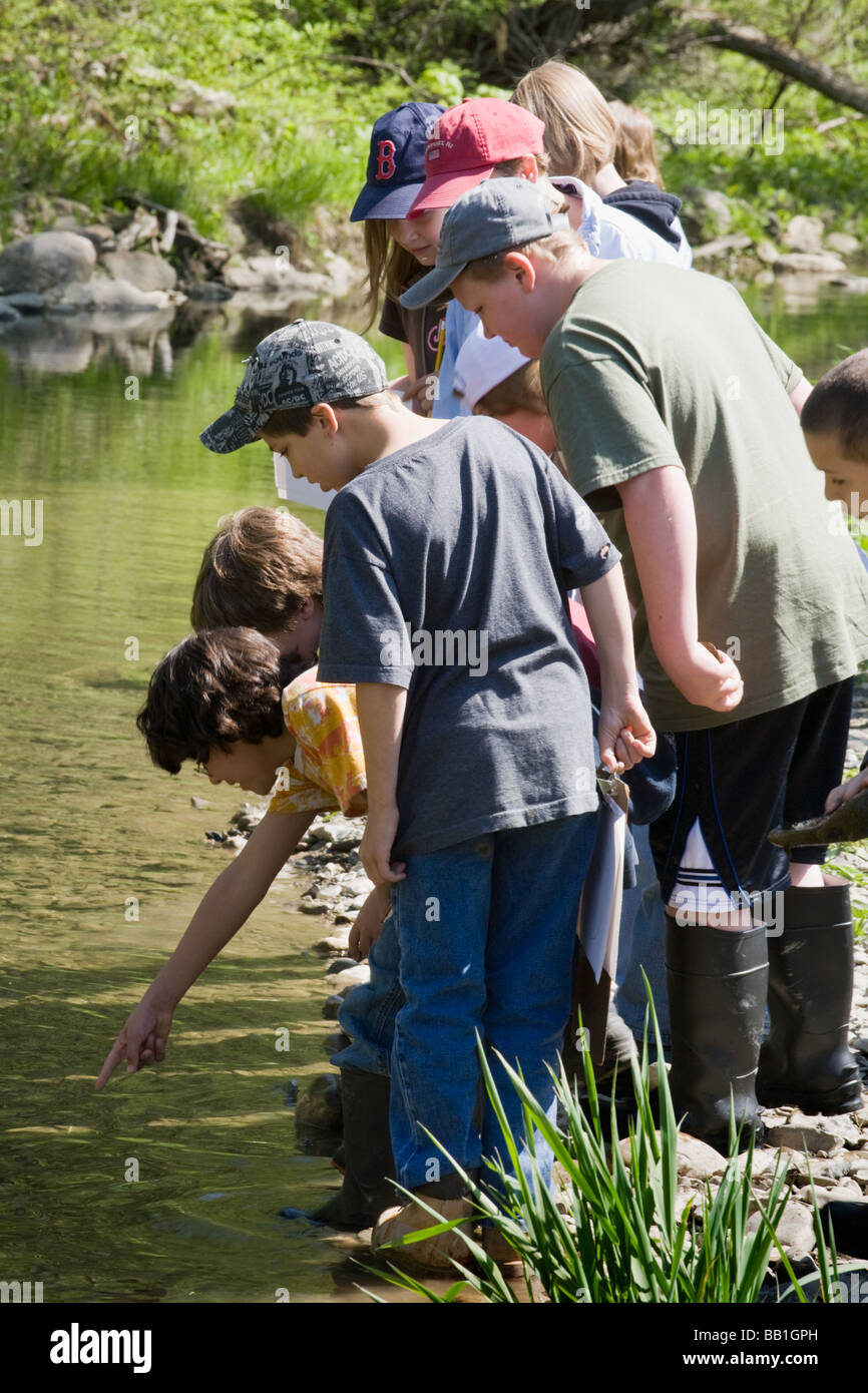 Fifth grade students schoolchildren studying ecology of a stream in Montgomery County upstate New York Stock Photo