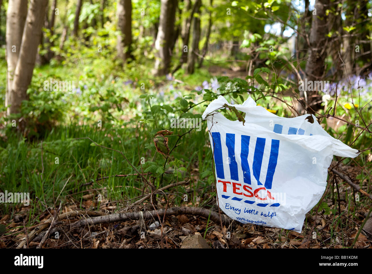 Tesco carrier bag in the woods Stock Photo