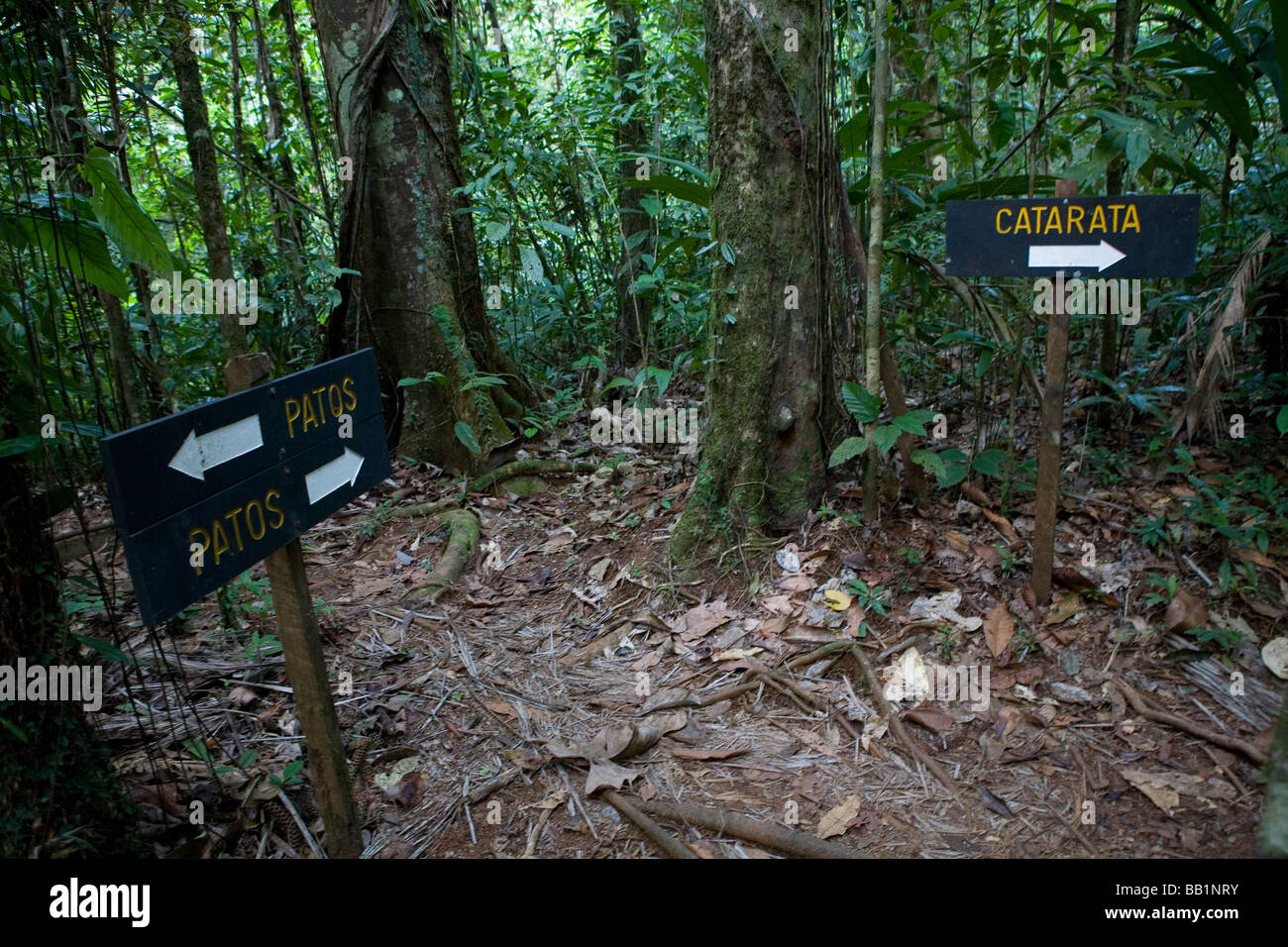 Signs point the way along the jungle trail in Corcovado Natioanl Park in Costa Rica Stock Photo