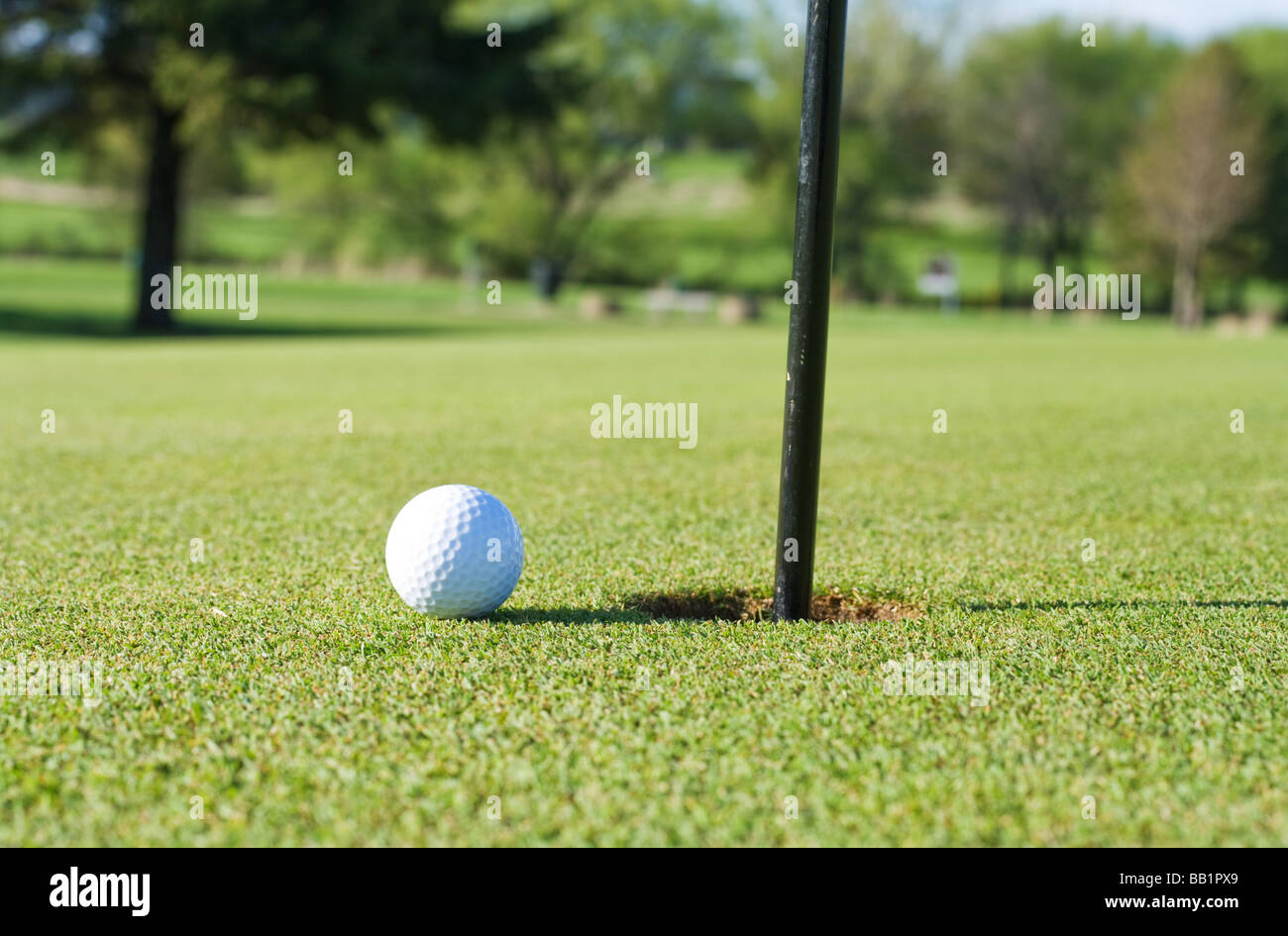 Golf ball on the putting green Stock Photo Alamy