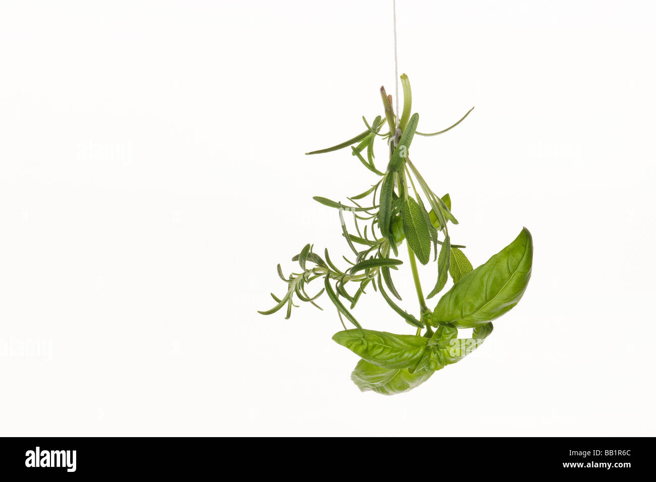 Three Italian herbs, basil, rosemary and sage, hang by a string. Stock Photo