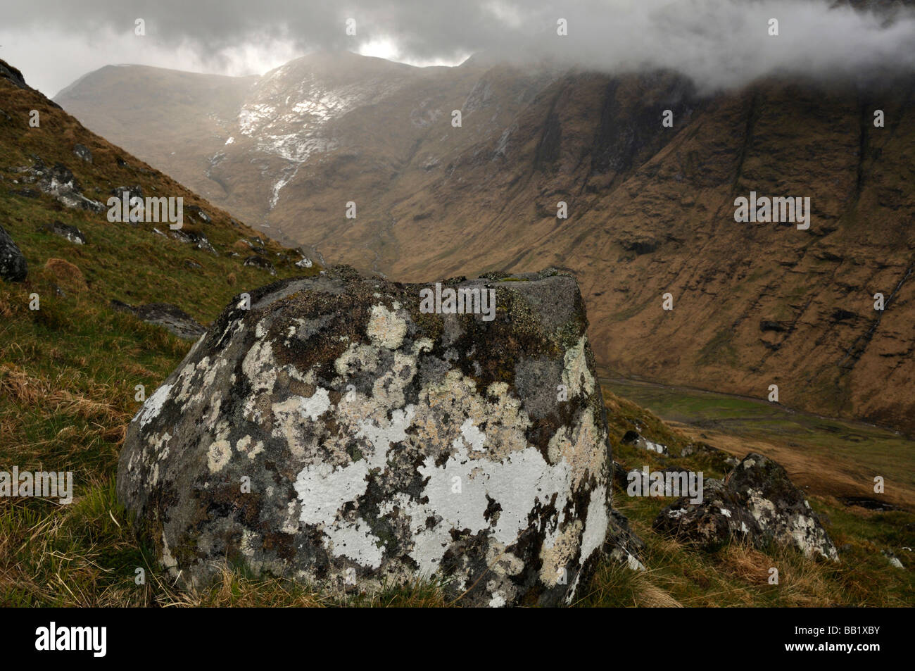 Lichen covered boulder Stob Dubh Glen Etive Scotland Stock Photo Alamy