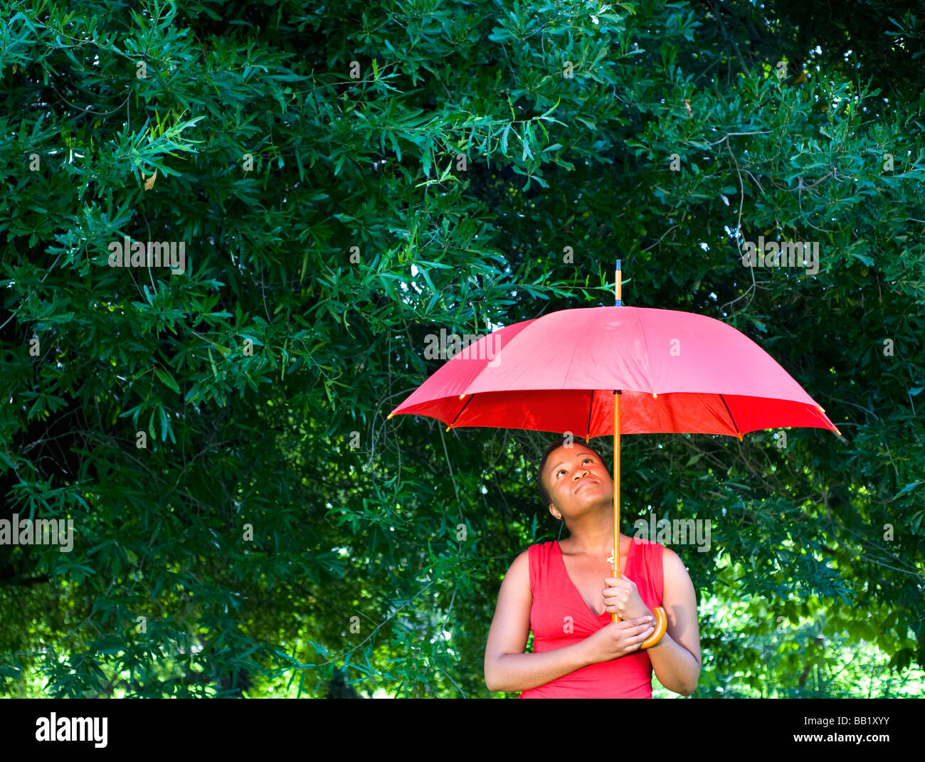 Woman holding an umbrella looking up, Johannesburg, Gauteng Province
