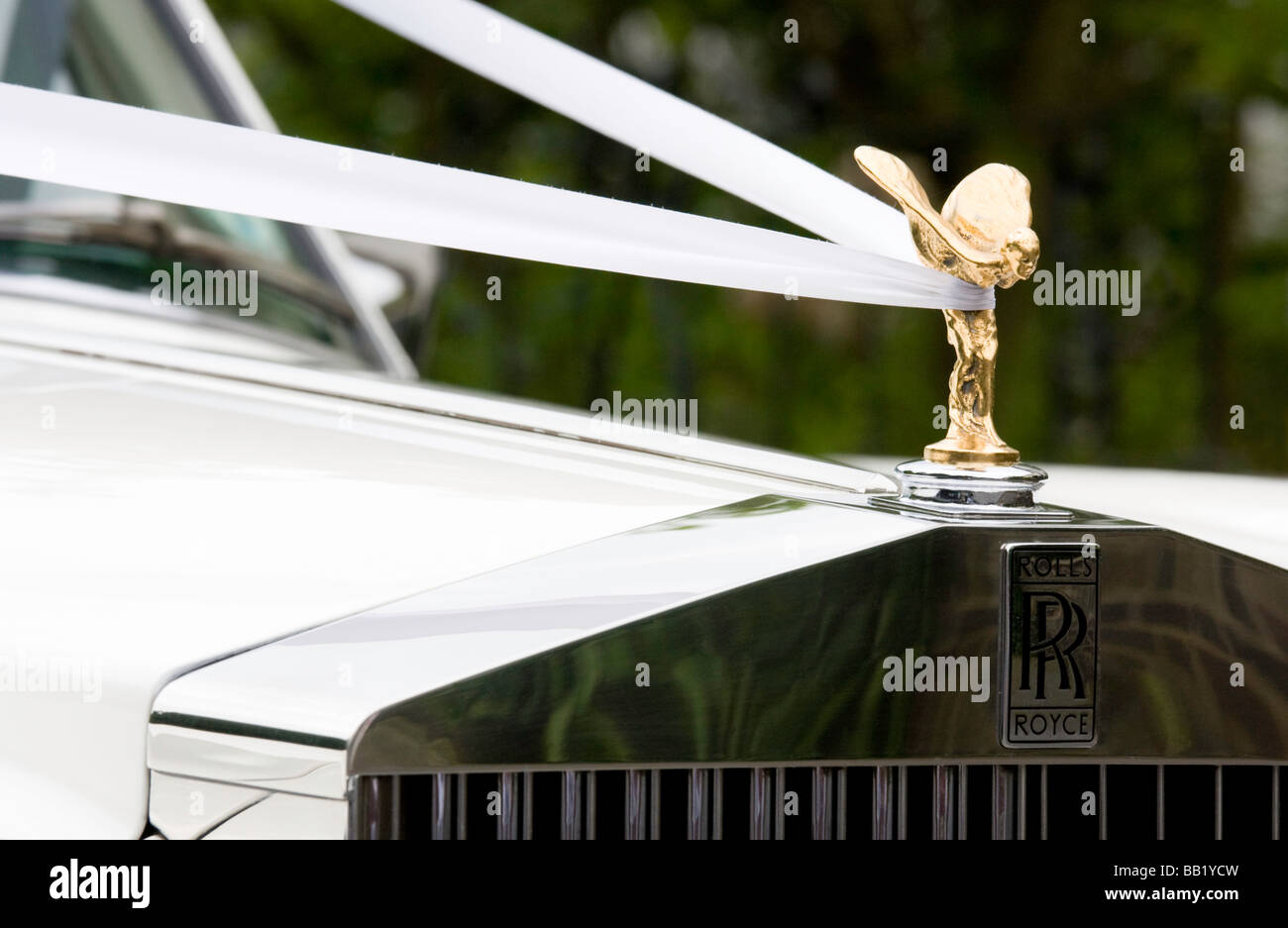 wedding ribbon on a white wedding car Stock Photo - Alamy