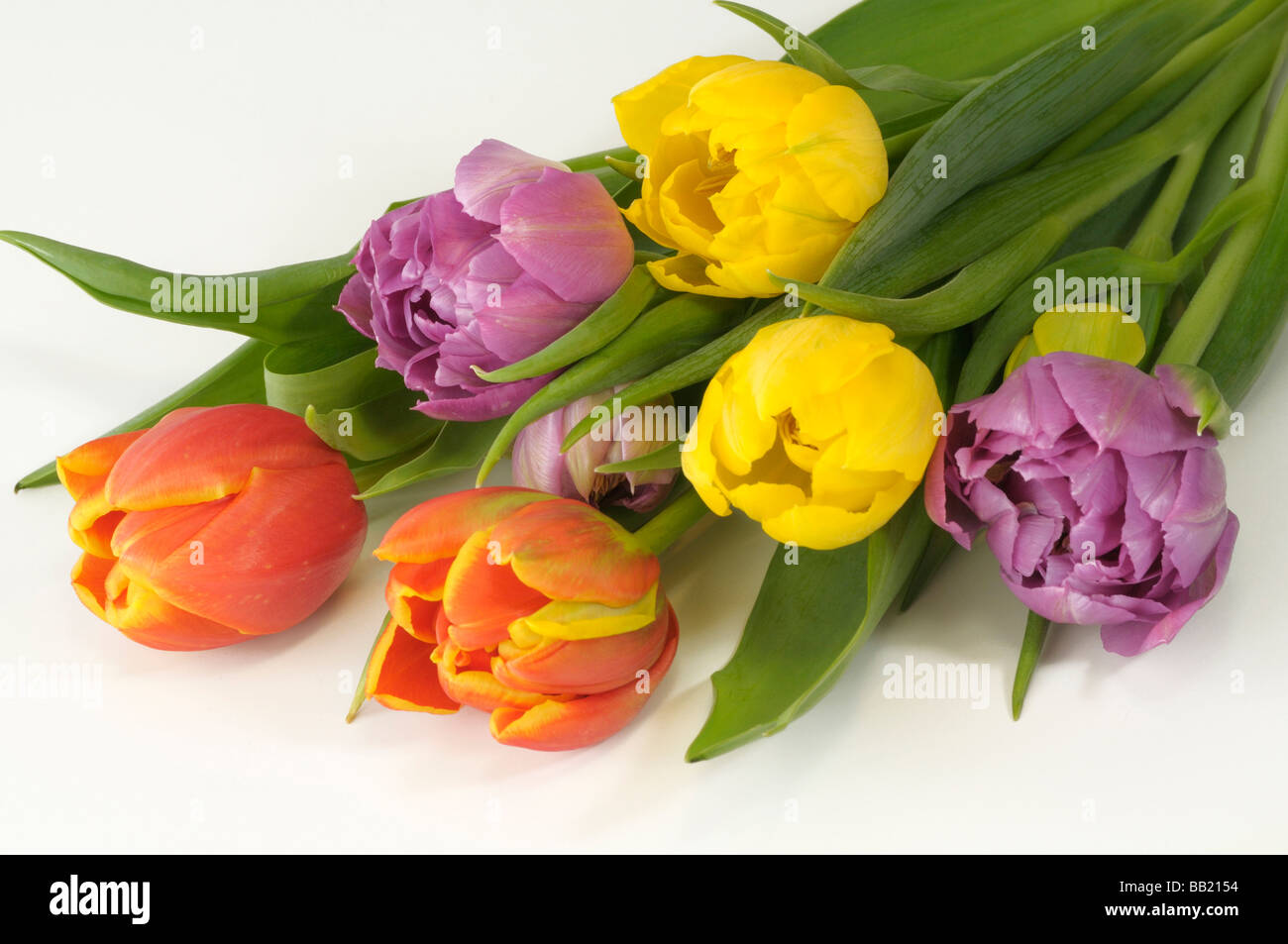 Spring nature hi-res stock photography and images - Alamy