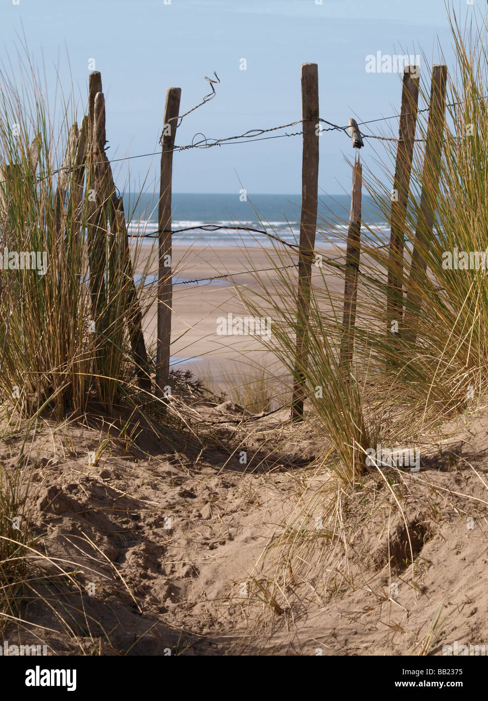 Old wooden fence in a sand dune beside the sea, with marrum grass growing  around it Stock Photo - Alamy