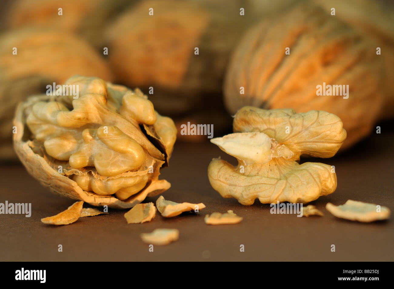 English Walnut, Persian Walnut (Juglans regia). Whole and opened nuts, studio picture Stock Photo