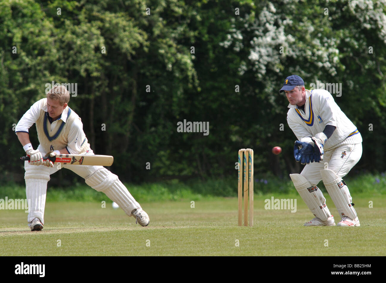 Village cricket at Lapworth, Warwickshire, England, UK Stock Photo