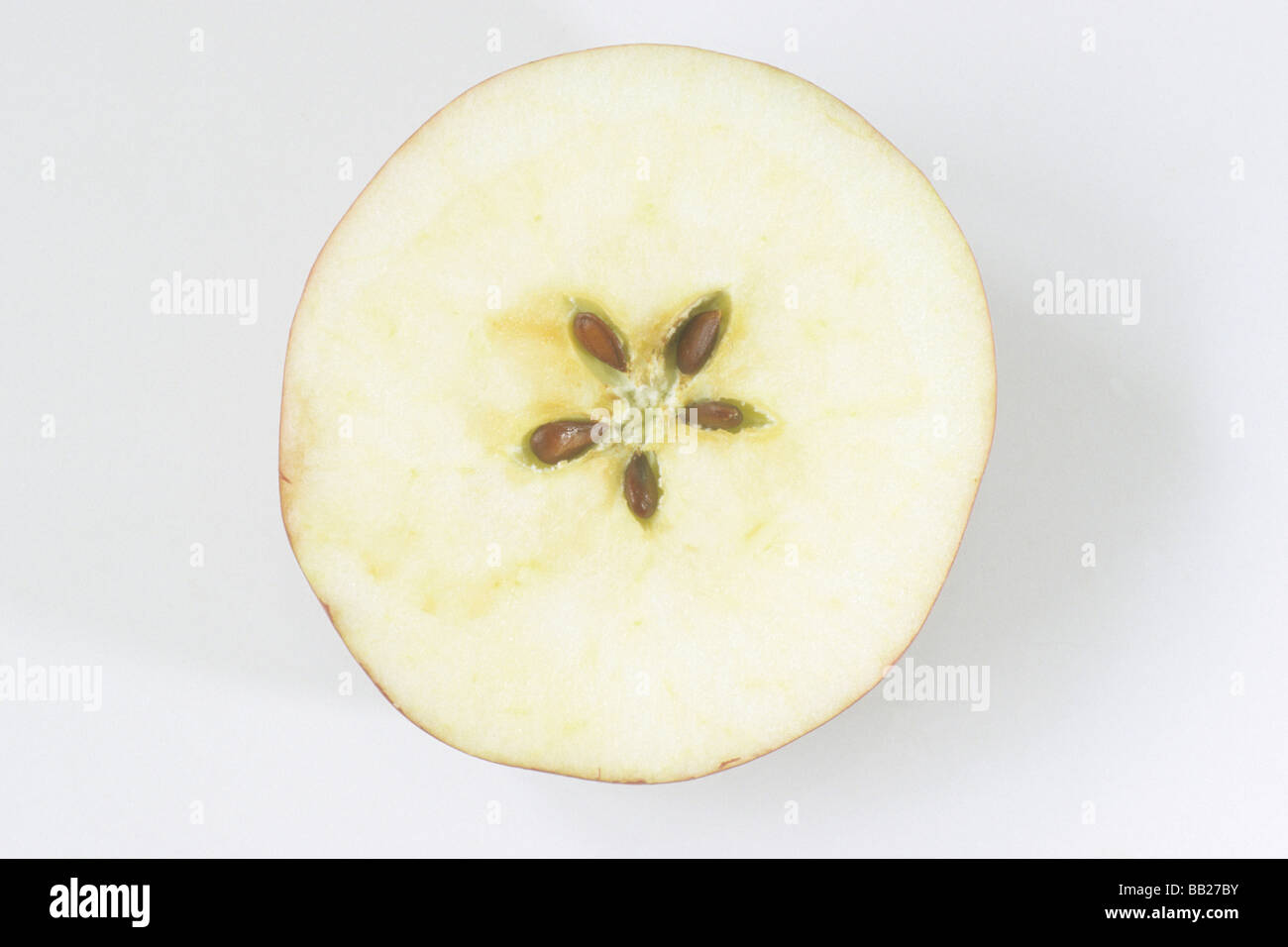 Domestic Apple (Malus domestica), cross-section of ripe fruit, studio picture Stock Photo