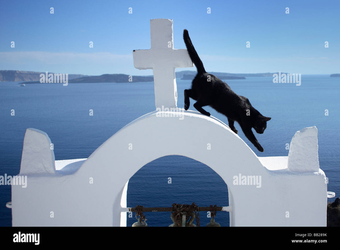 Domestic Cat (Felis silvestris, Felis catus). Black cat on the bell tower of the church in Oia Stock Photo