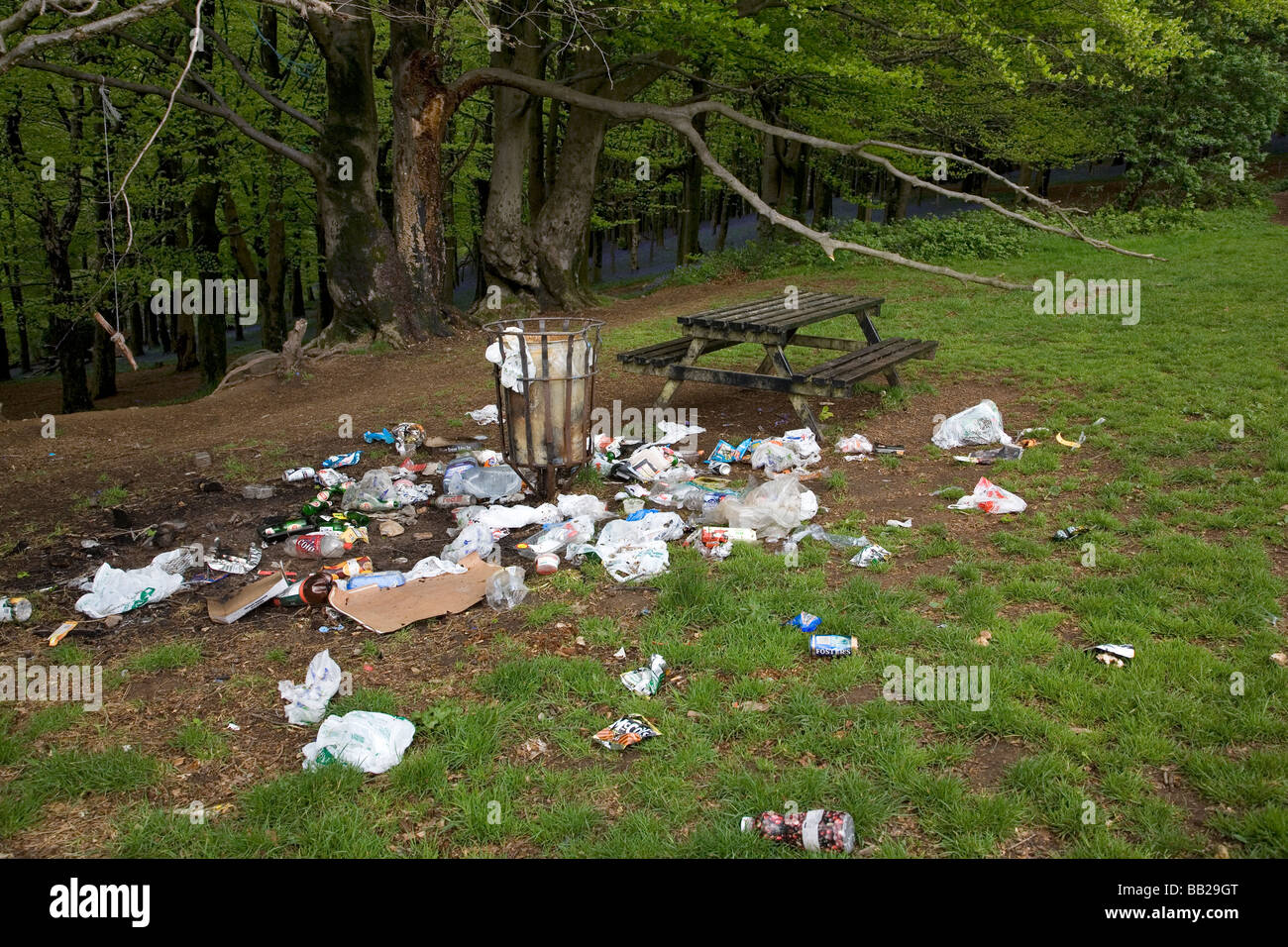 Litter strewn around a bin at a picnic site Stock Photo, Royalty Free ...