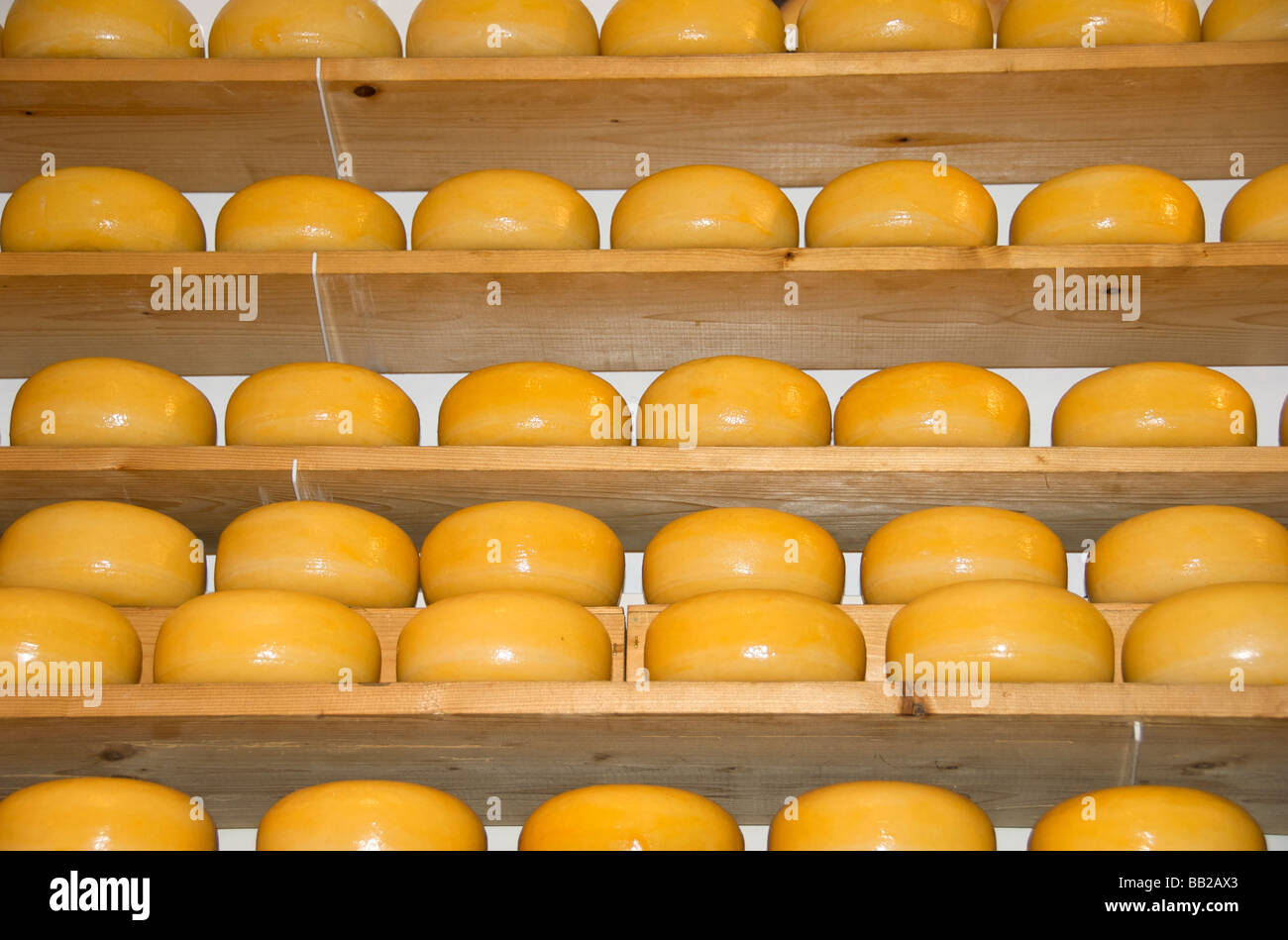 Europe, Netherlands, North Holland, Edam, cheese Stock Photo Alamy