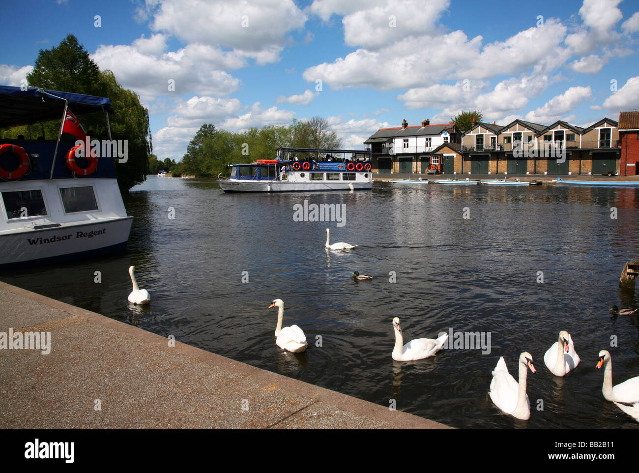 Windsor castle river boats swans hires stock photography and images Alamy