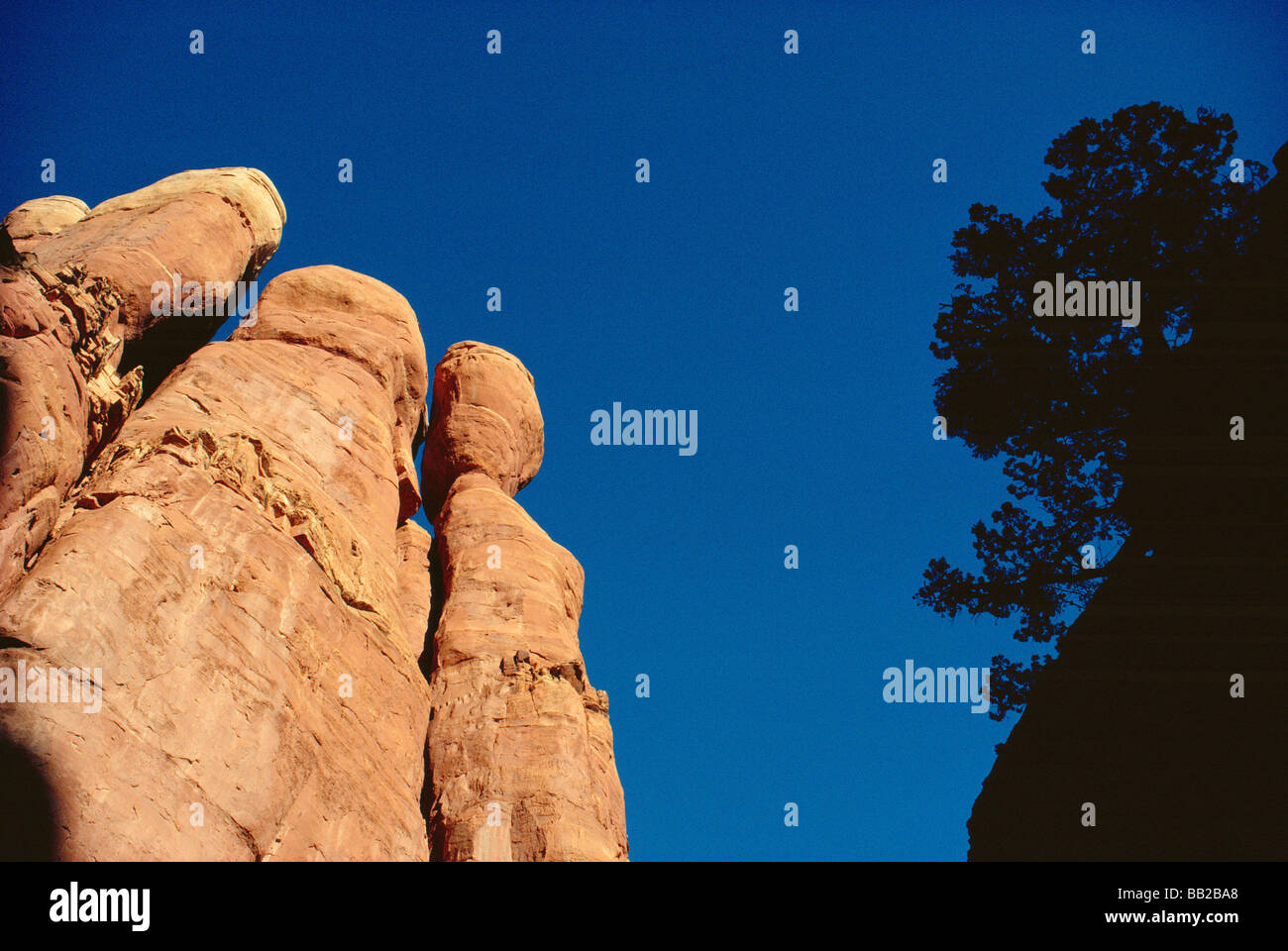 Rock & Tree Framed in Sedona, Arizona Stock Photo Alamy