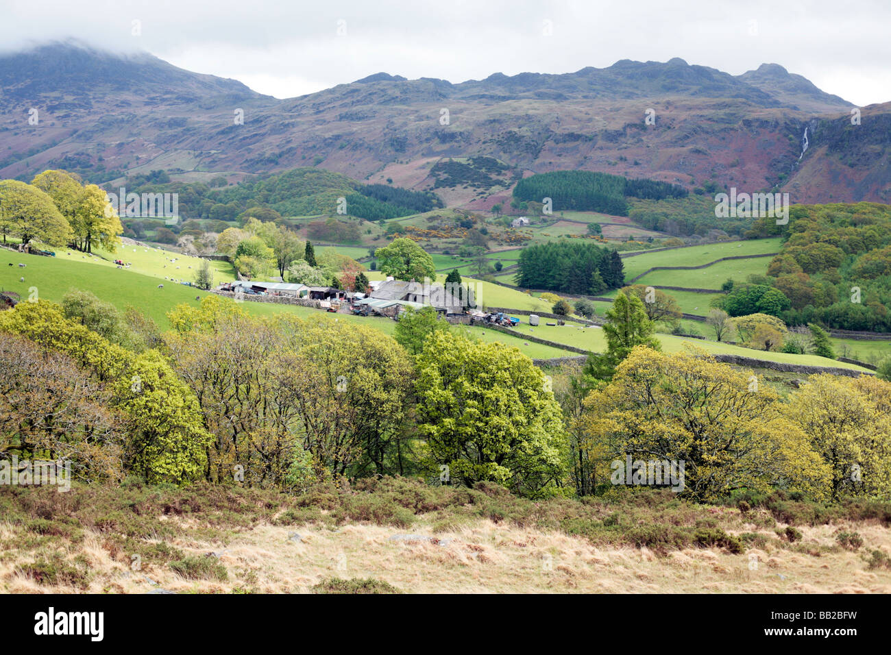Looking across Eskdale near the village of Boot, Lake district, UK Stock Photo