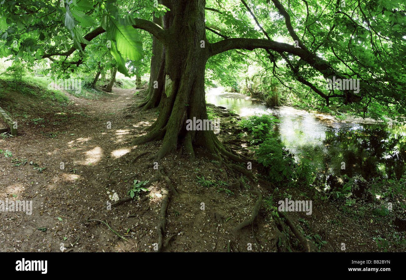 england midlands worcestershire valley of the river arrow redditch