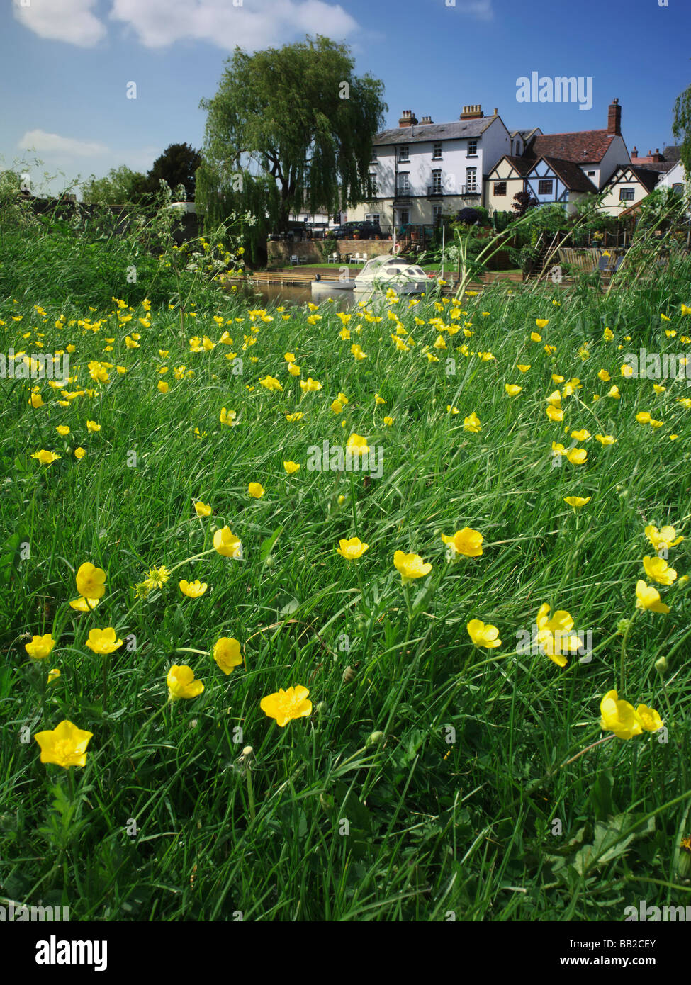 the river avon bidford on avon warwickshire the midlands england uk