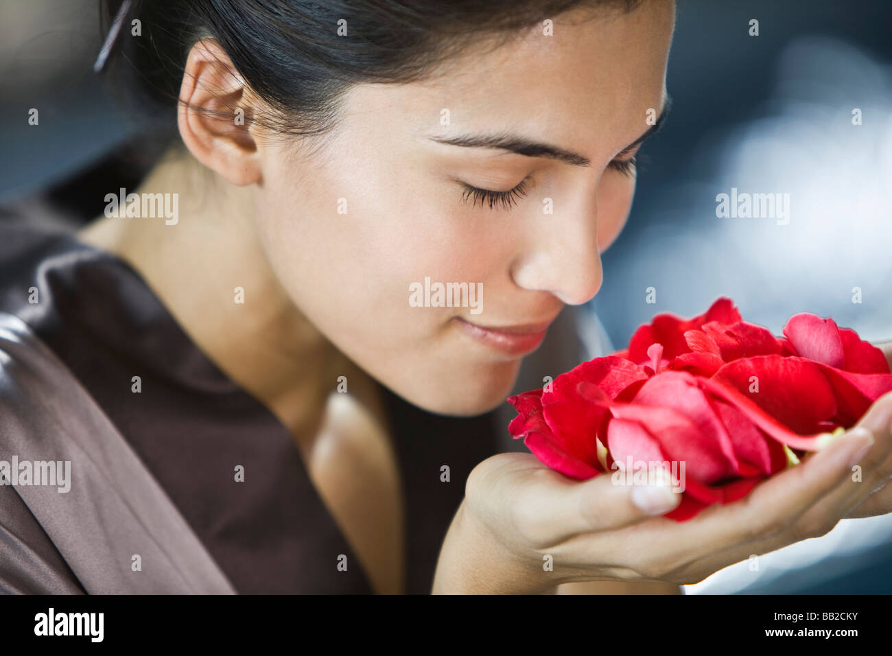 Which Is The Best Smelling Rose at Rosalind Carter blog