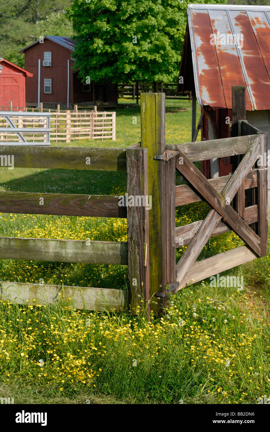 fence post on a farm Stock Photo