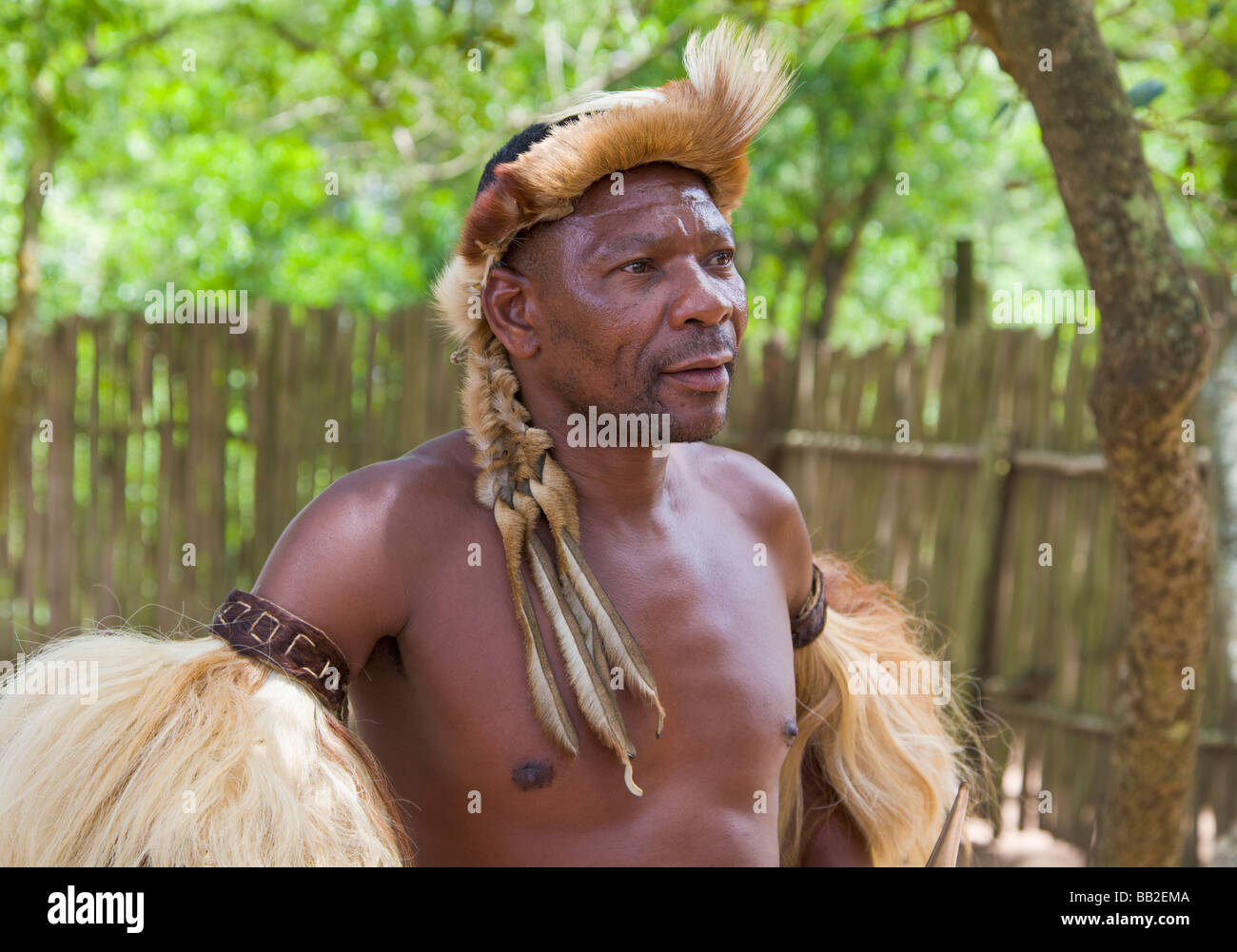 Zulu warrior, KwaZulu Natal, 'South Africa' Stock Photo