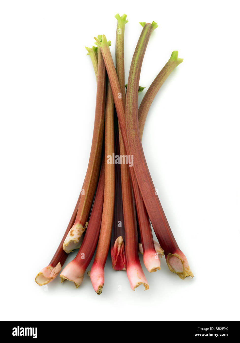 rhubarb Stock Photo