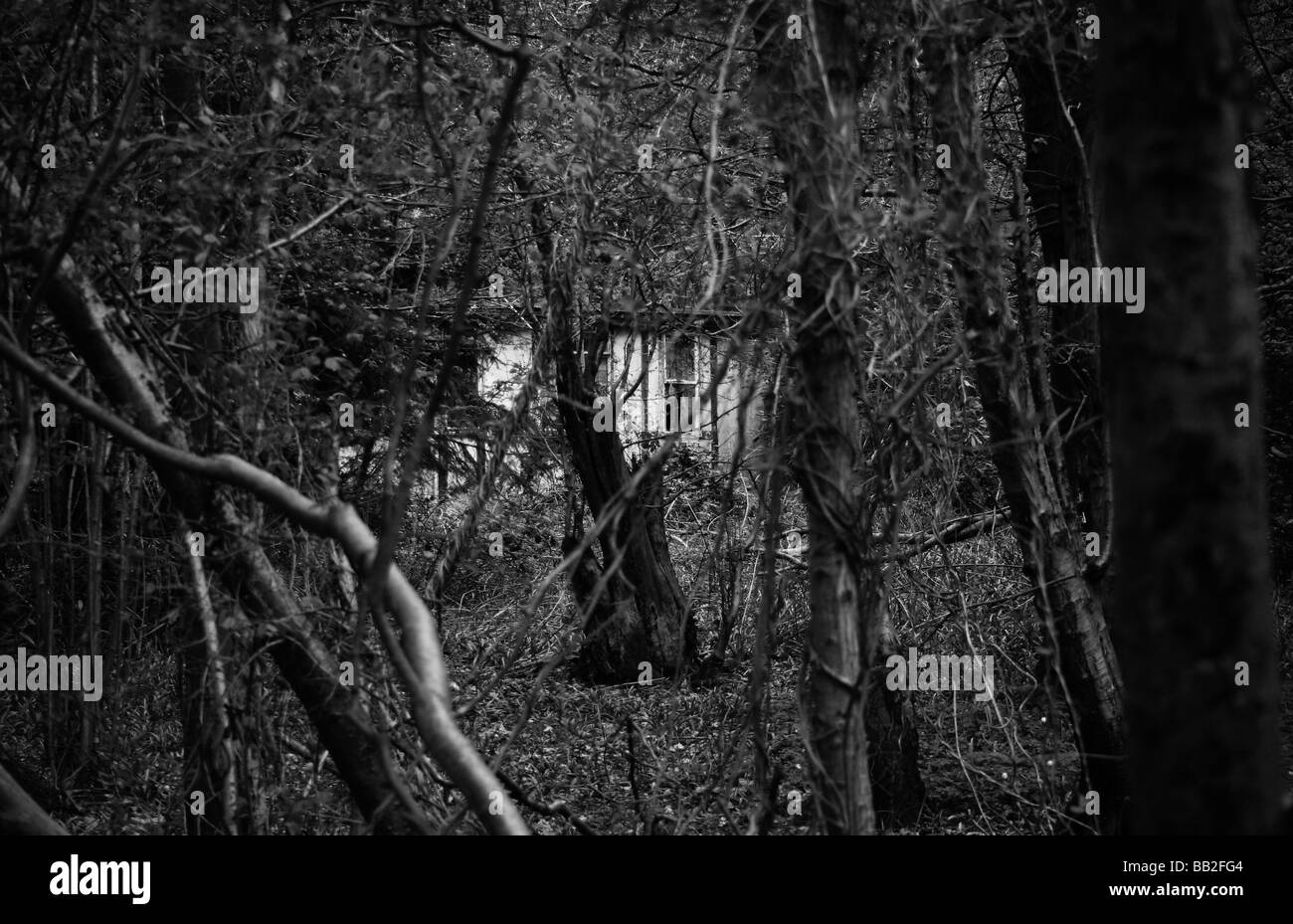 old abandoned mobile home seen through trees Stock Photo Alamy
