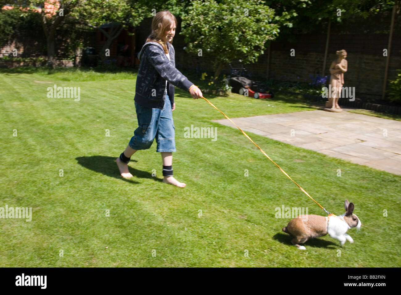 Pet rabbit and girl Stock Photo - Alamy