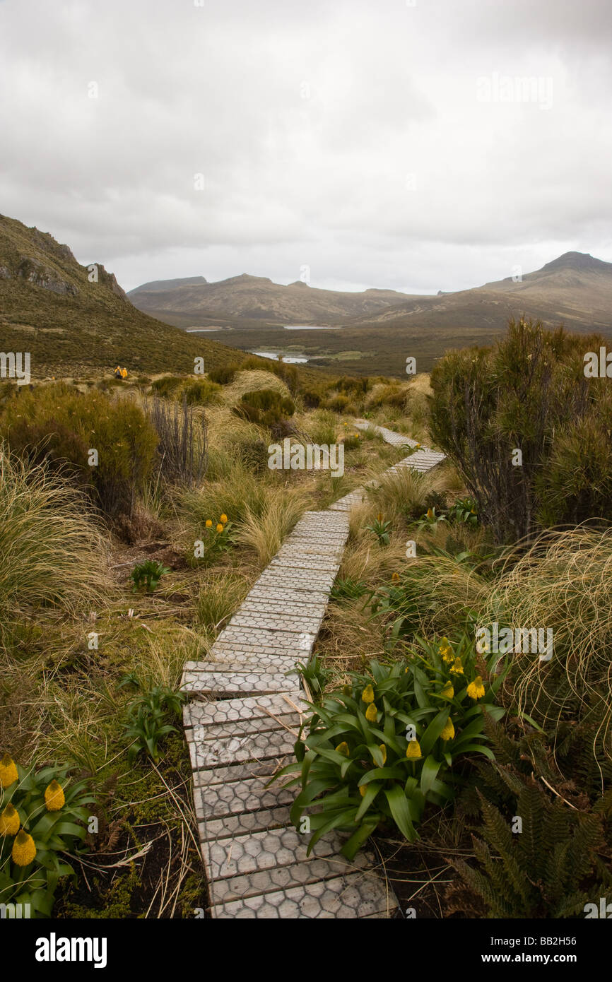 Scenic panoramic vista from walking path on Campbell island New Zealand's Sub-Antarctic extinct volcano, mountainous terrain and lush green vegetation Stock Photo