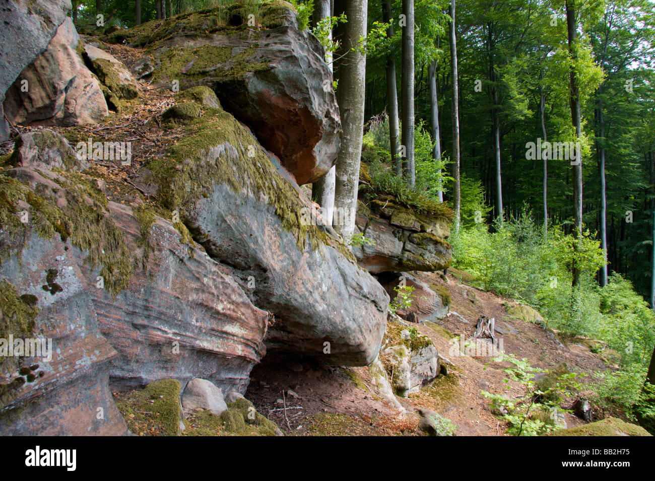 Formation of rocks in german forest Stock Photo Alamy