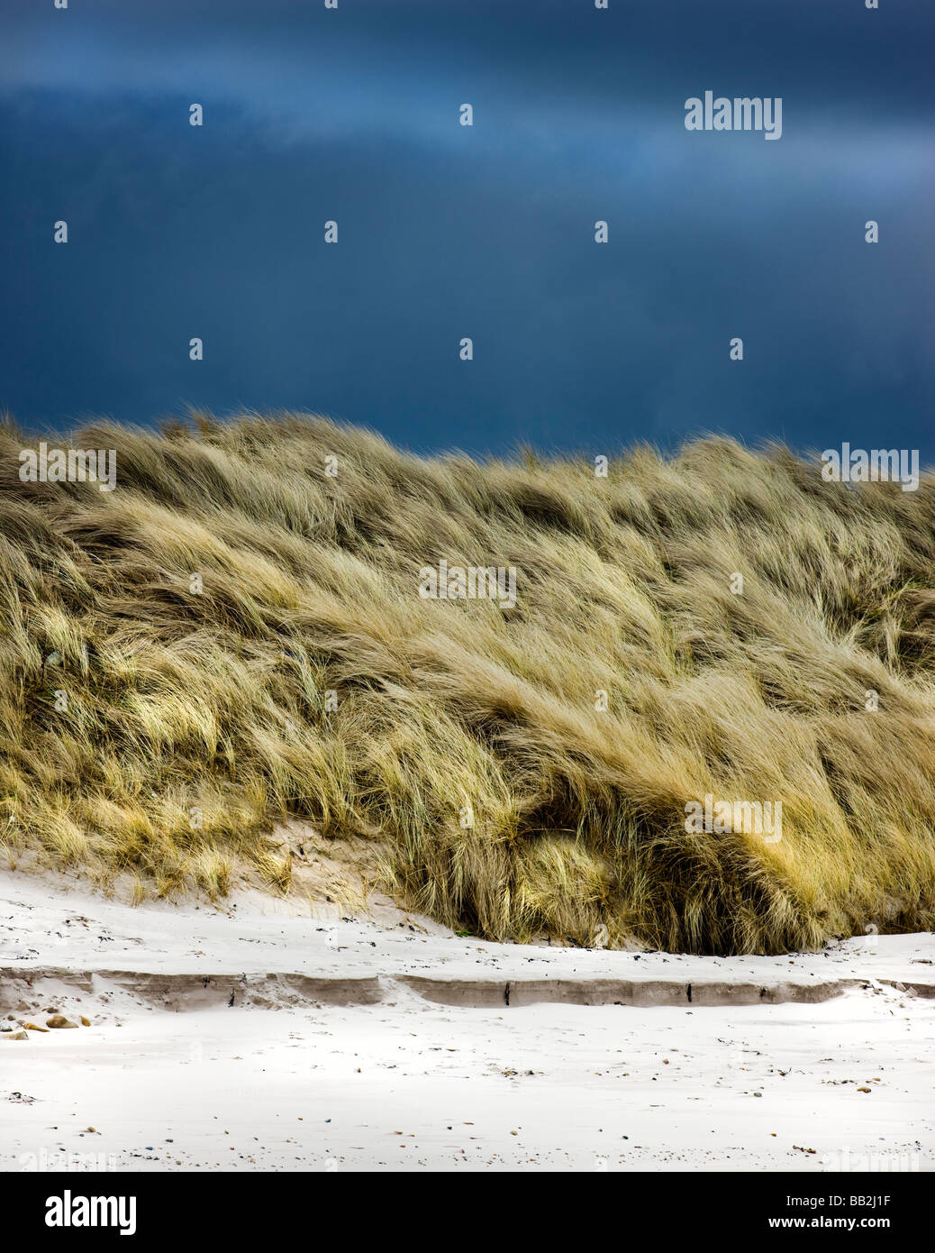 Wind blown sand dune under a stormy winter sky, Sandham Bay, Holy Island, Lindisfarne, Northumbria UK Stock Photo