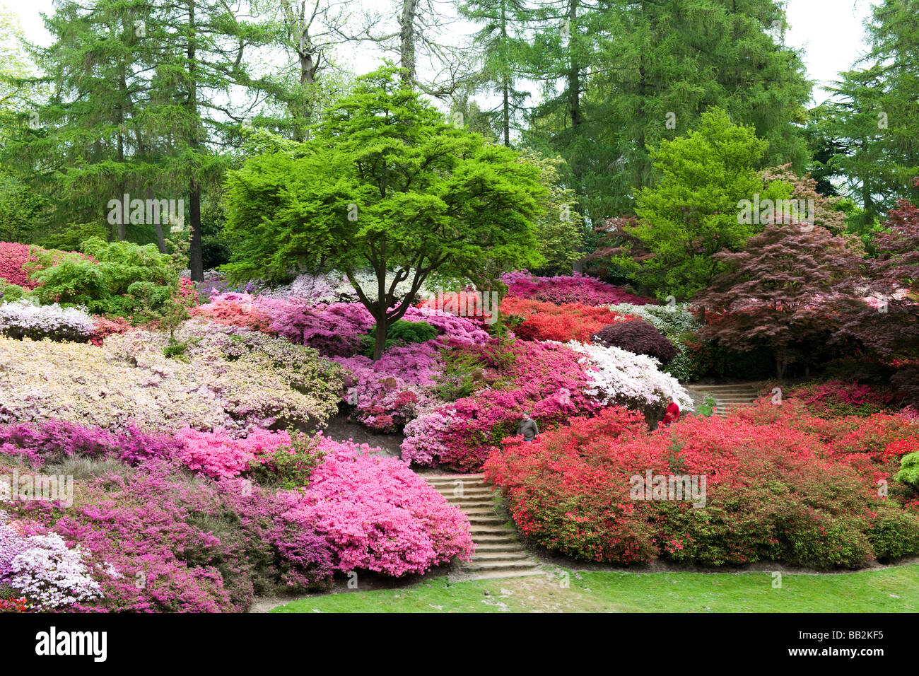 Punch bowl valley gardens hires stock photography and images Alamy
