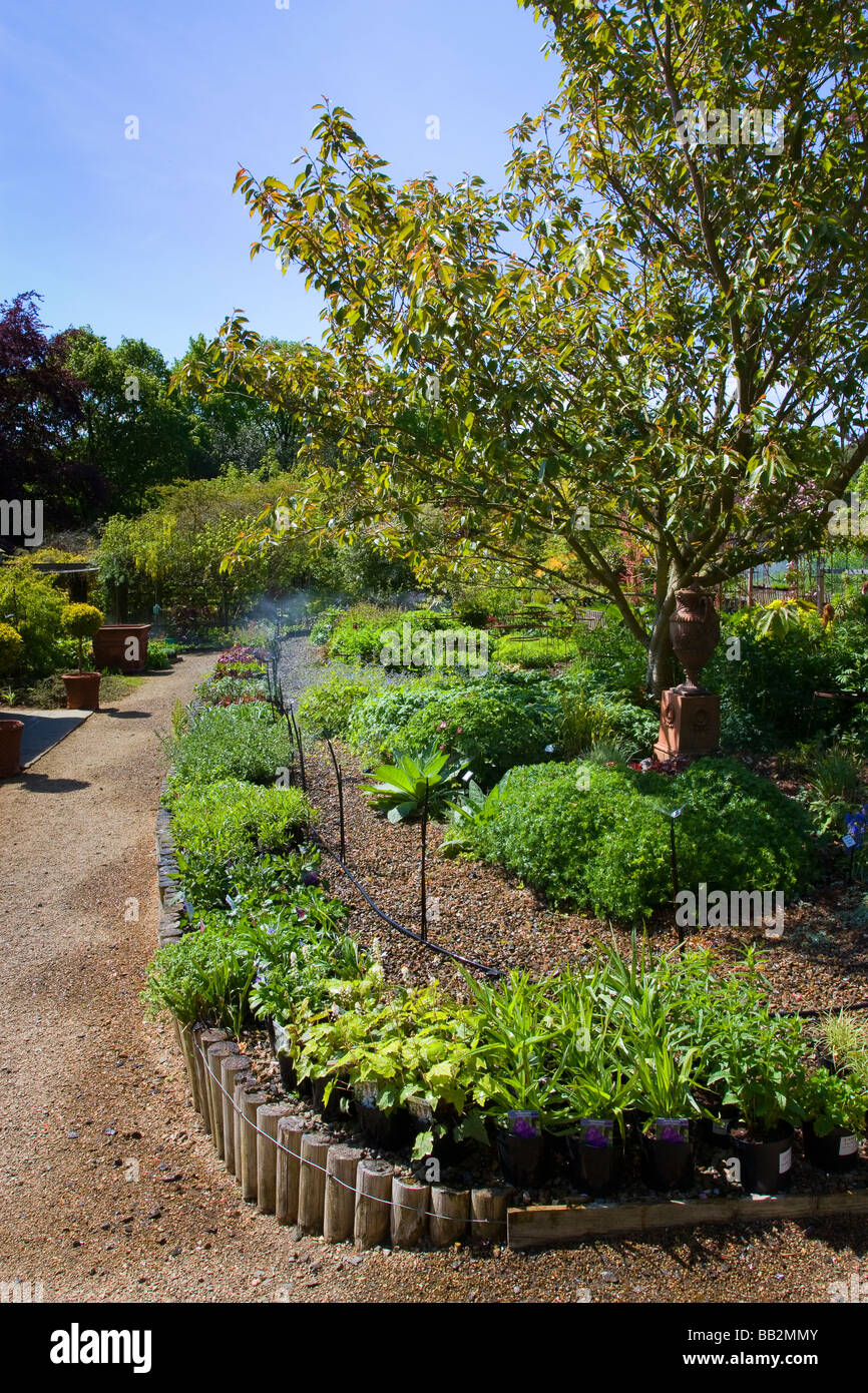 Timeless Beauty: Discover the Victorian Garden Nursery Experience