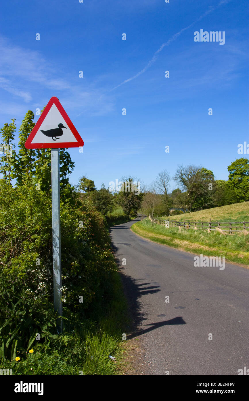 Funny road signs hi-res stock photography and images - Alamy