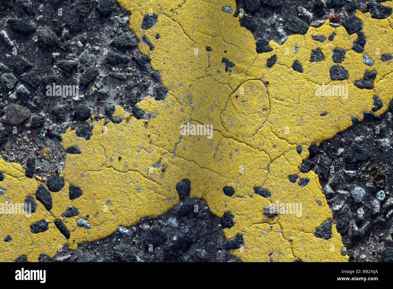 Yellow painted cross on road Stock Photo Alamy