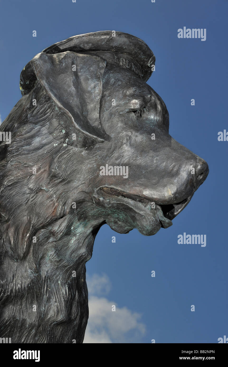 Military mascot hires stock photography and images Alamy