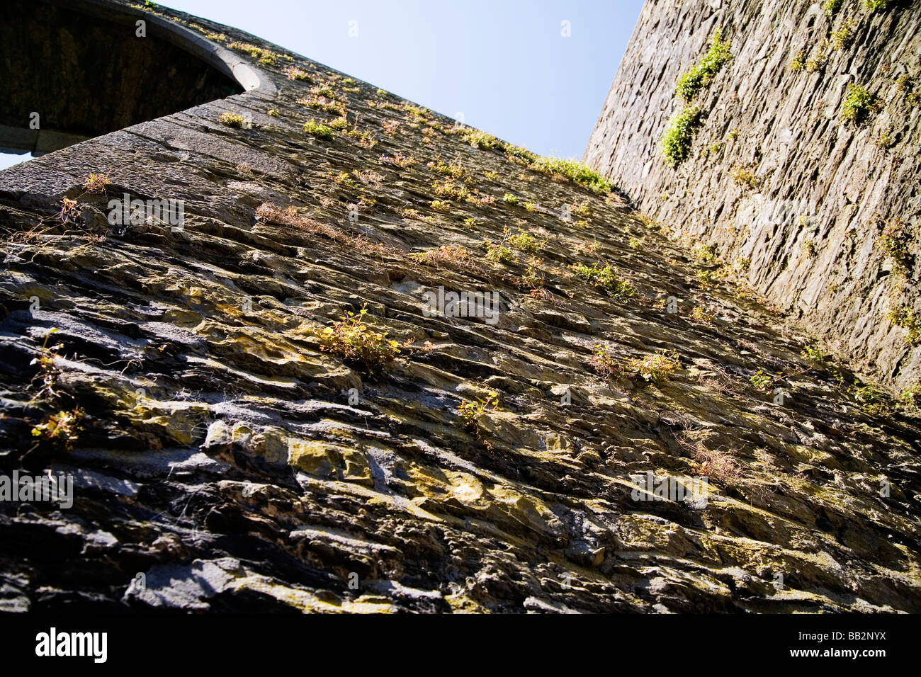 part of an old Stone wall in Western Ireland Stock Photo Alamy