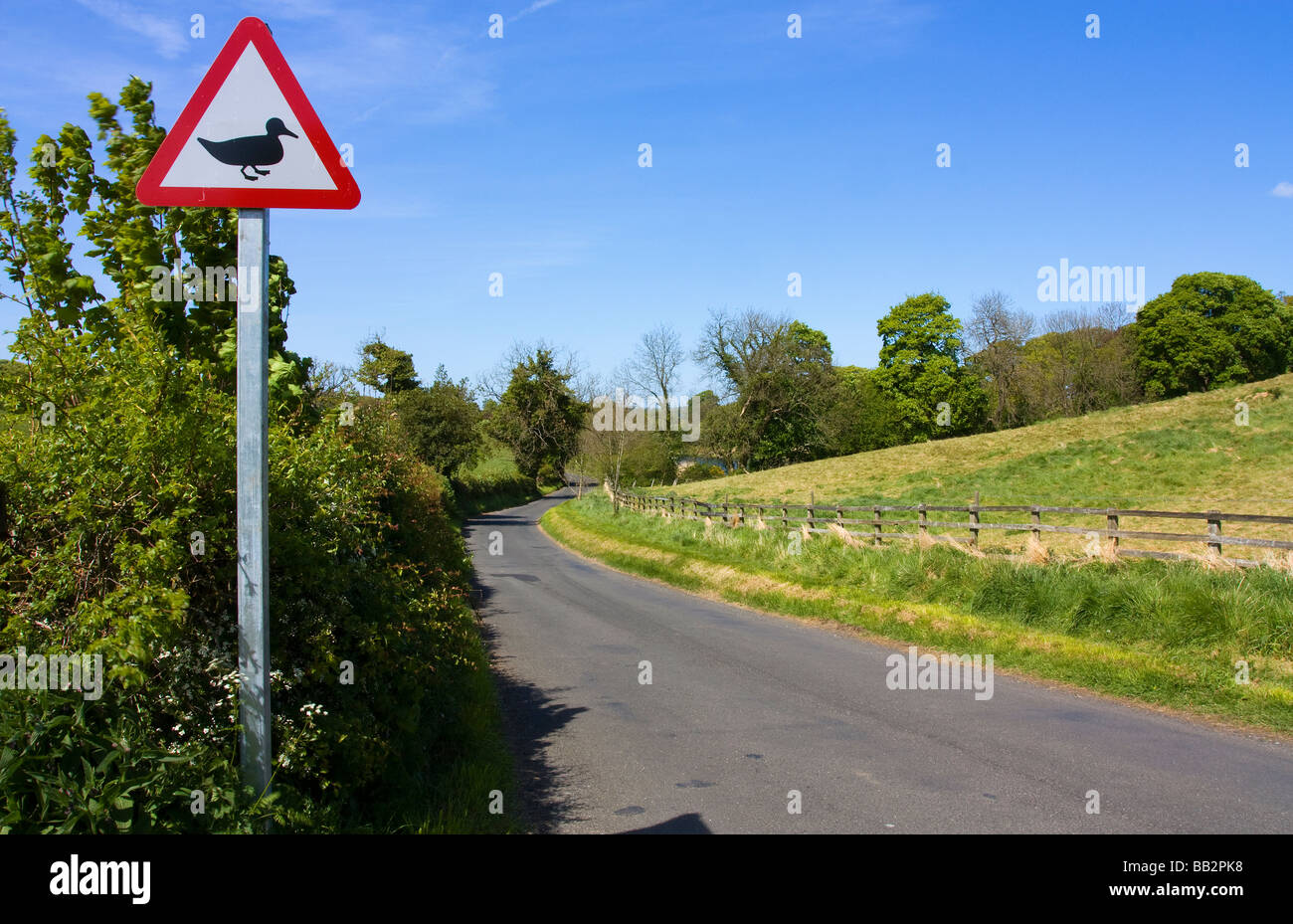 Funny road signs hi-res stock photography and images - Alamy Funny road signs hi-res stock photography and images - Alamy