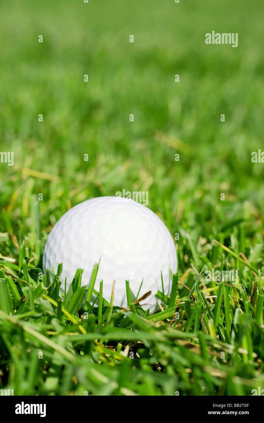 Golf ball on the fairway Stock Photo Alamy
