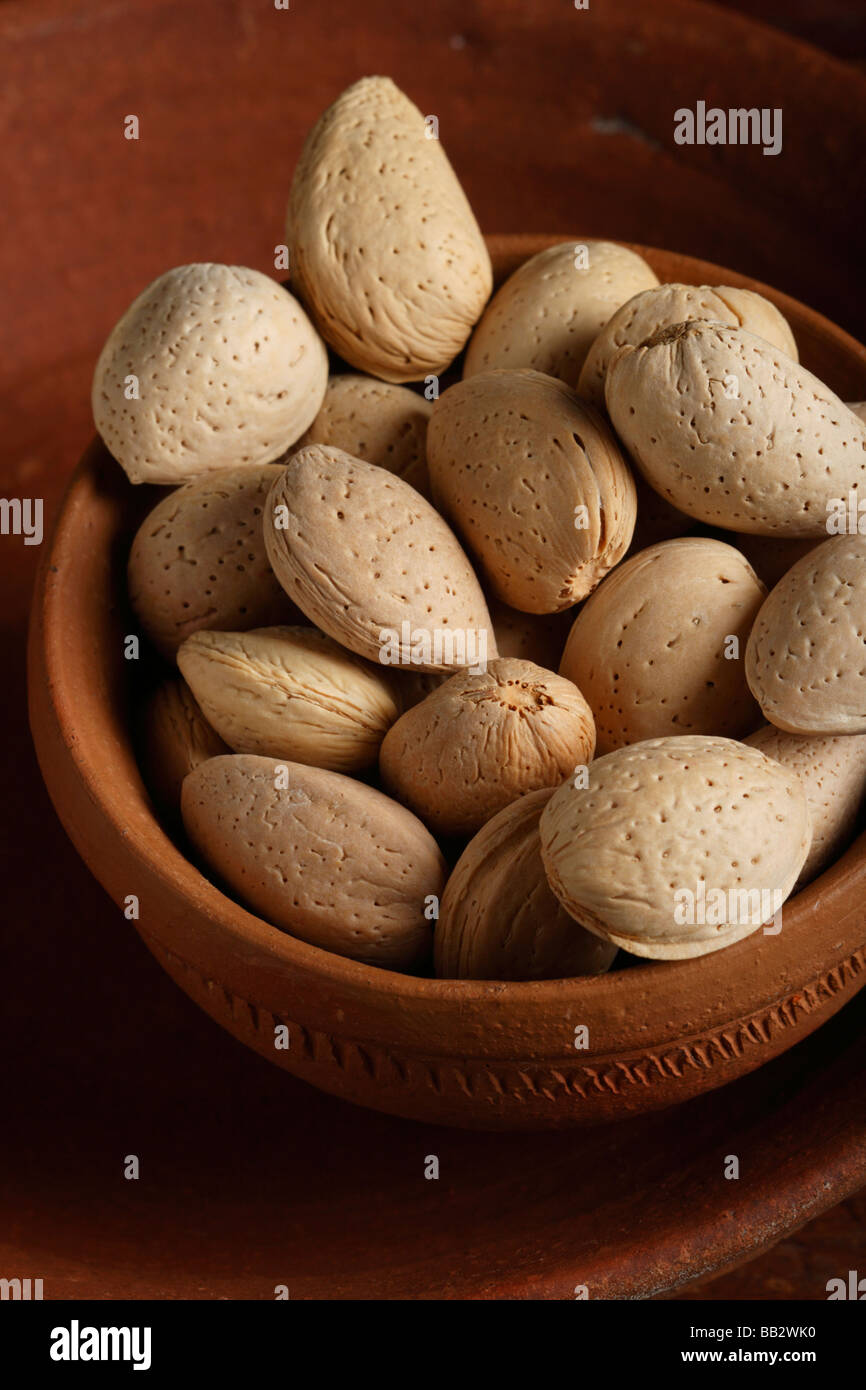 Pista A dry fruit from mountain areas of middle east Stock Photo Alamy
