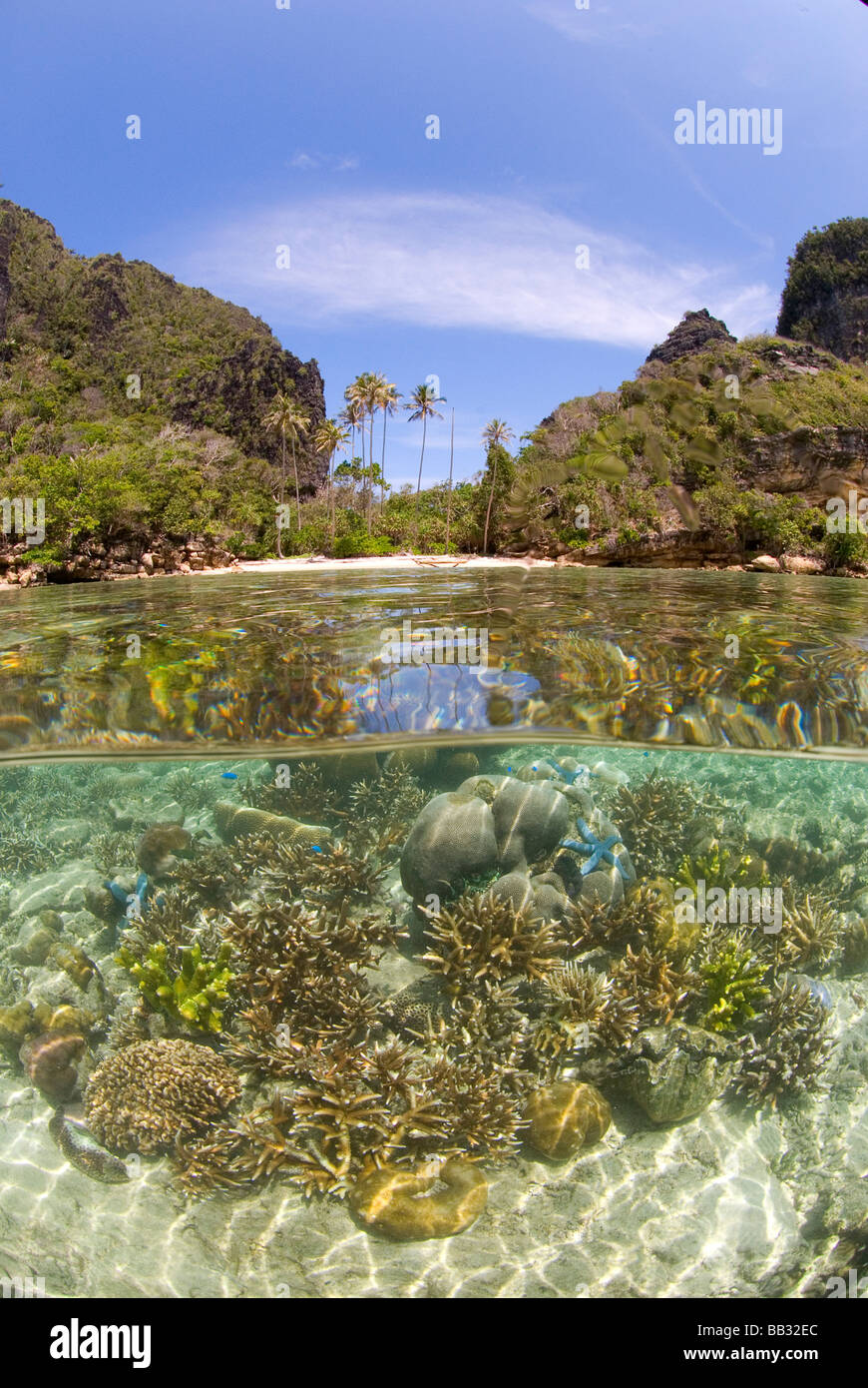 Indian Ocean, Indonesia, Raja Ampat, Misool Island. Split view above and below water of island and reef. Stock Photo