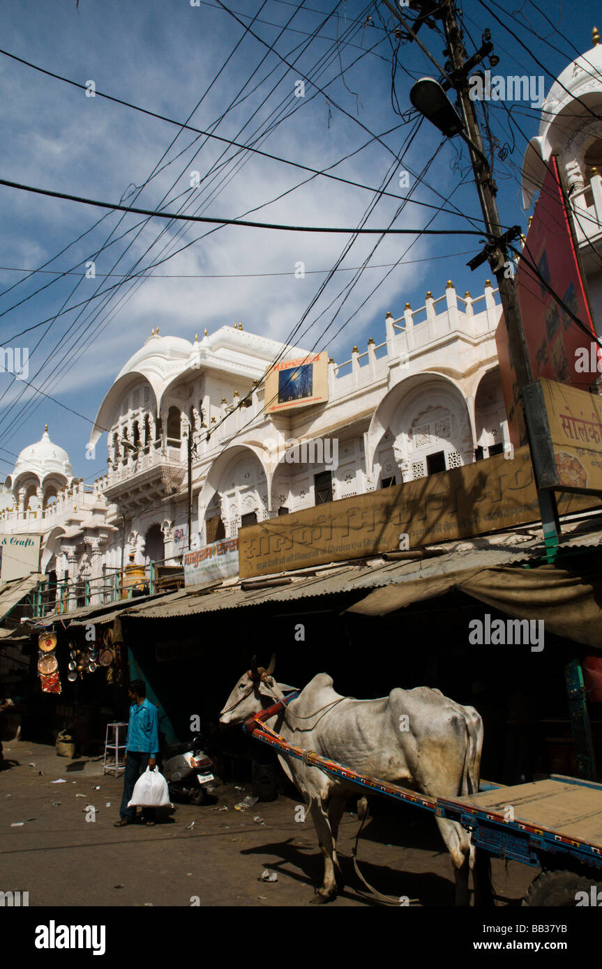 street in jodhpur Stock Photo - Alamy