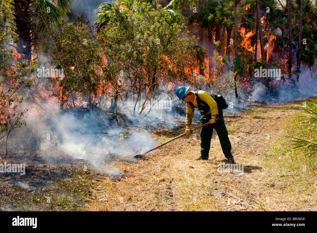 Prescribed fire in south Florida is responsible for fuel reduction