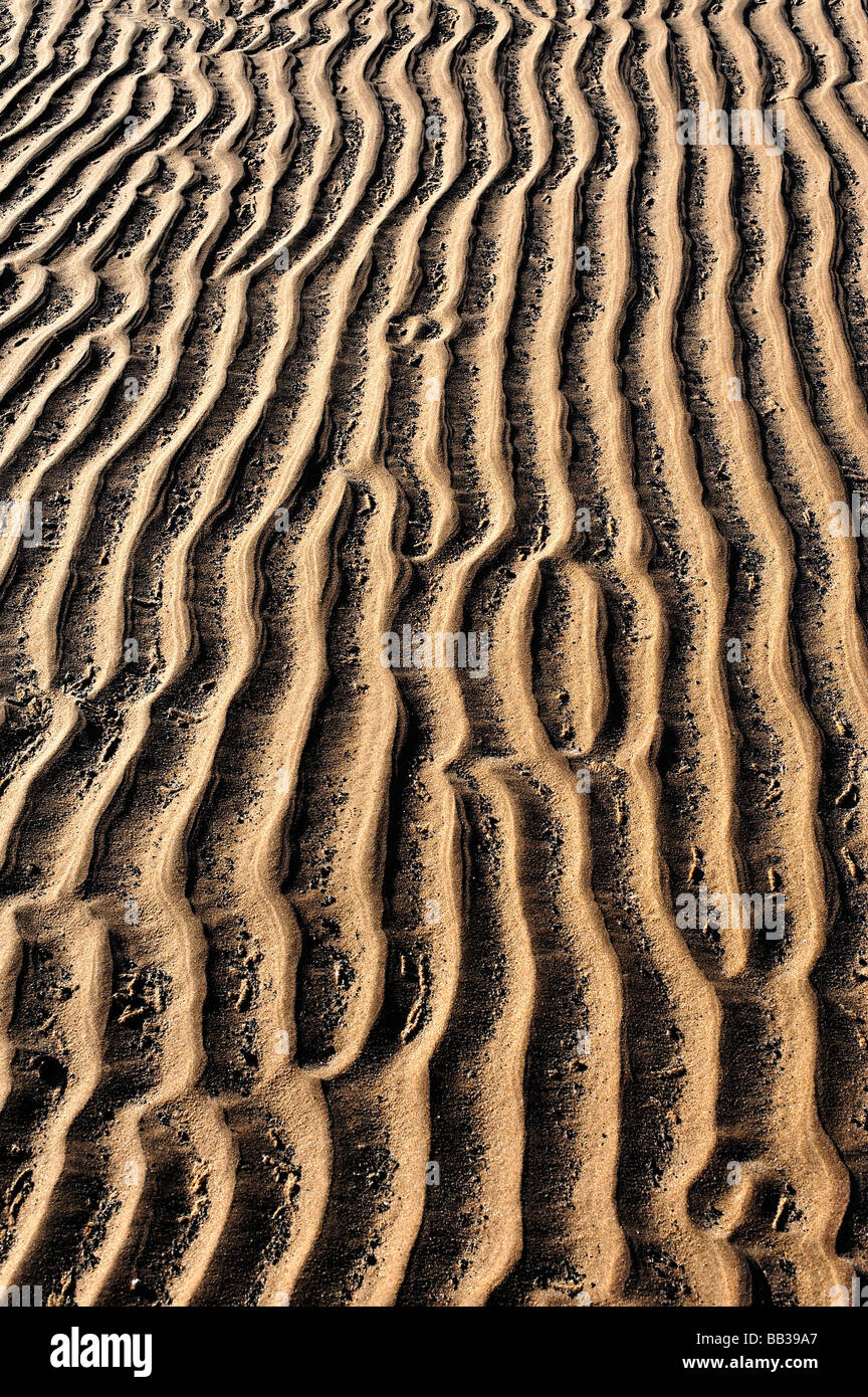 Sand patterns on shoreline at Budle Bay Northumberland Stock Photo