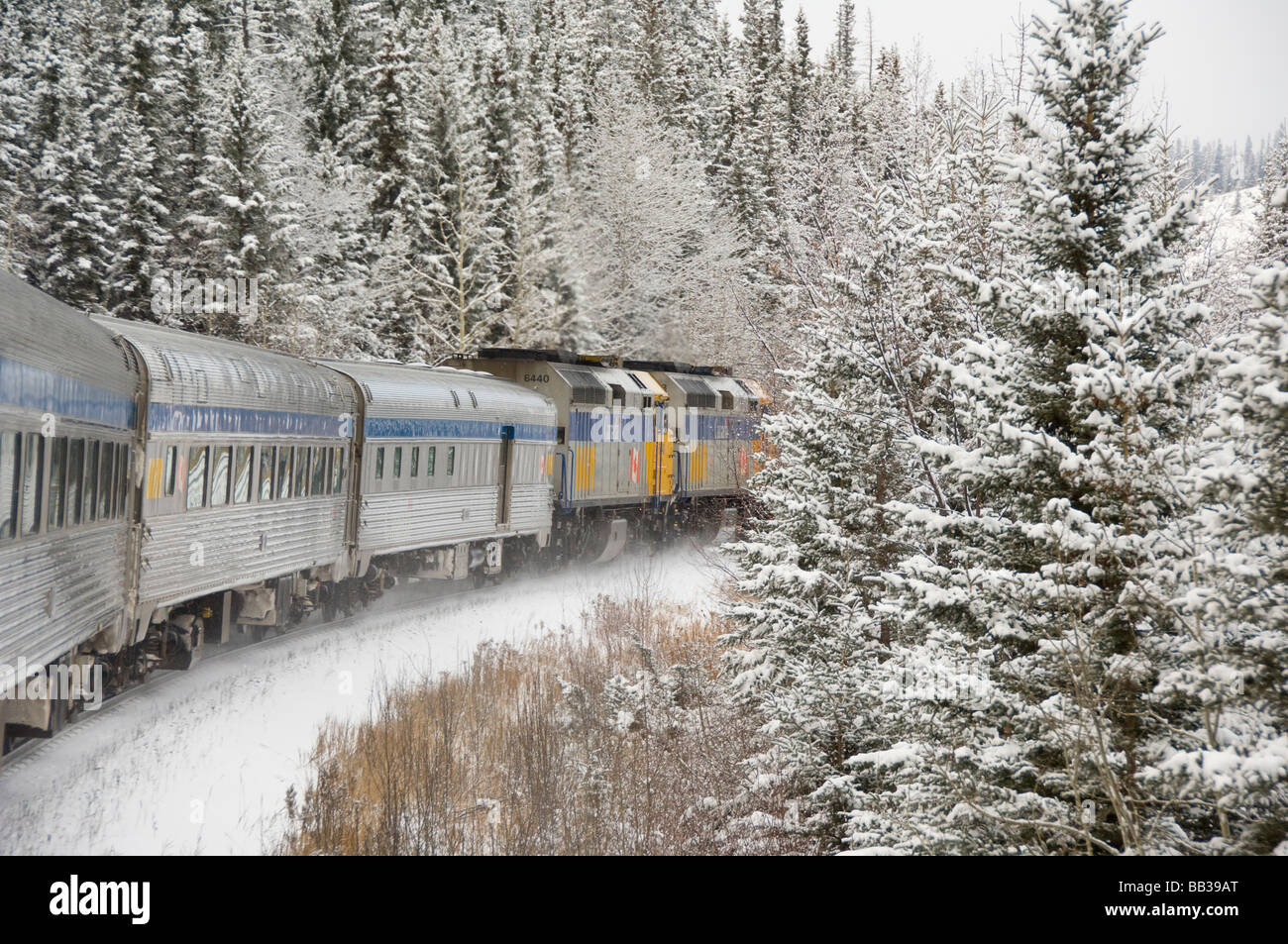 snow edmonton train alberta jasper rail alamy canada between via