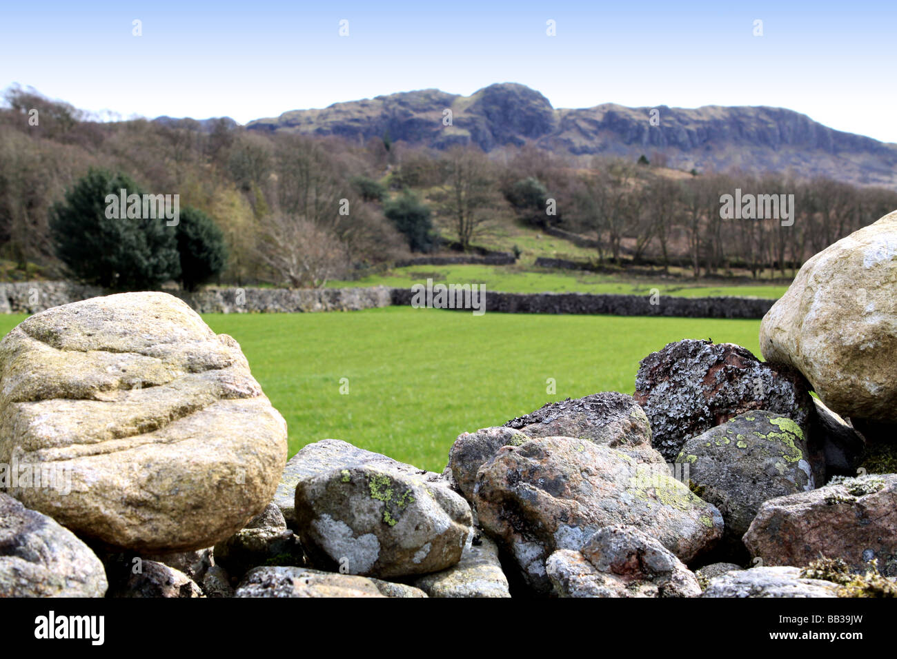 Cambrian small scale farming region with small large traditional hand built stone walls with fertile grassland Stock Photo